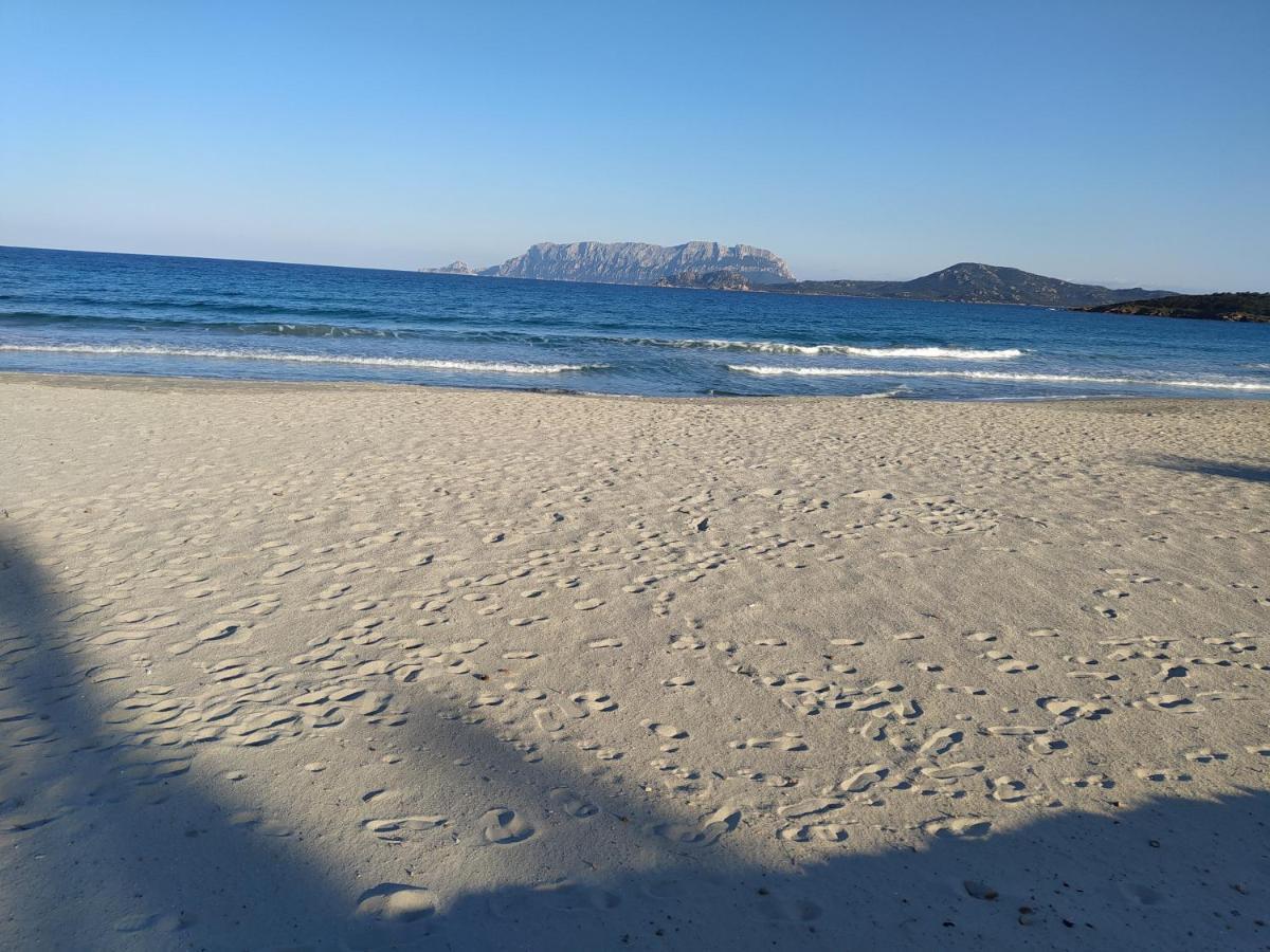 Bed and Breakfast Antica Isola Olbia Exterior foto