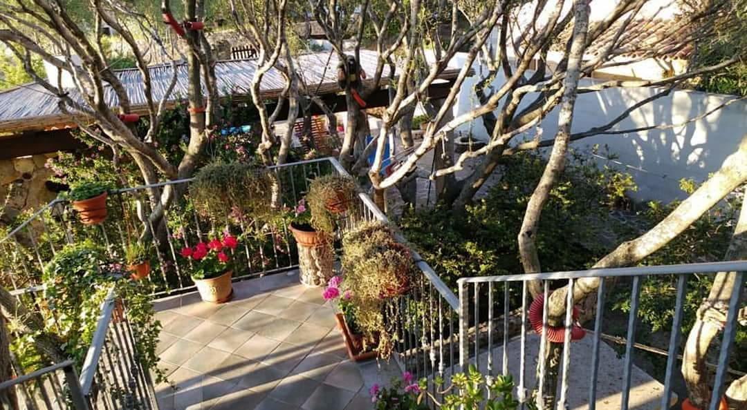 Bed and Breakfast Antica Isola Olbia Exterior foto